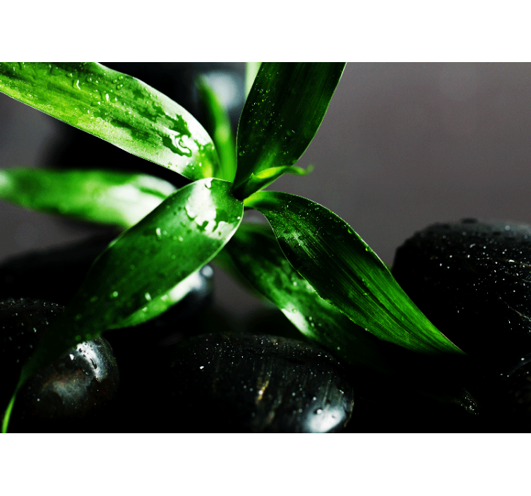 Luonto valokuvatapetti tuoreita lehtiä tekstuurilla - Tenstickers