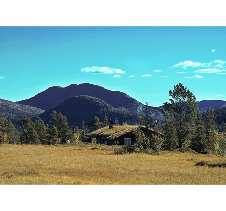 Vihreä kenttä mökeineen aurinkoisena päivänä valokuvatapetti luon - Tenstickers