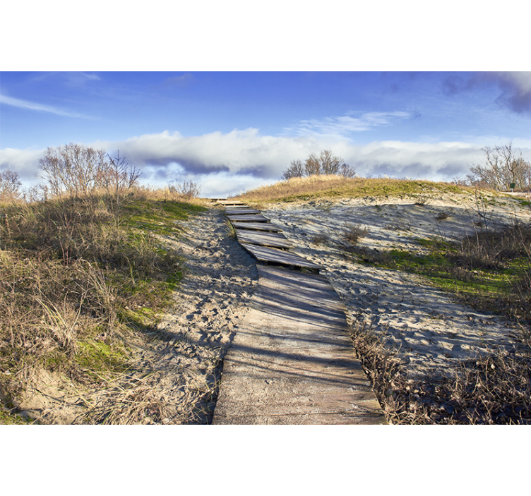 Puupolku maisema valokuvatapetti - Tenstickers