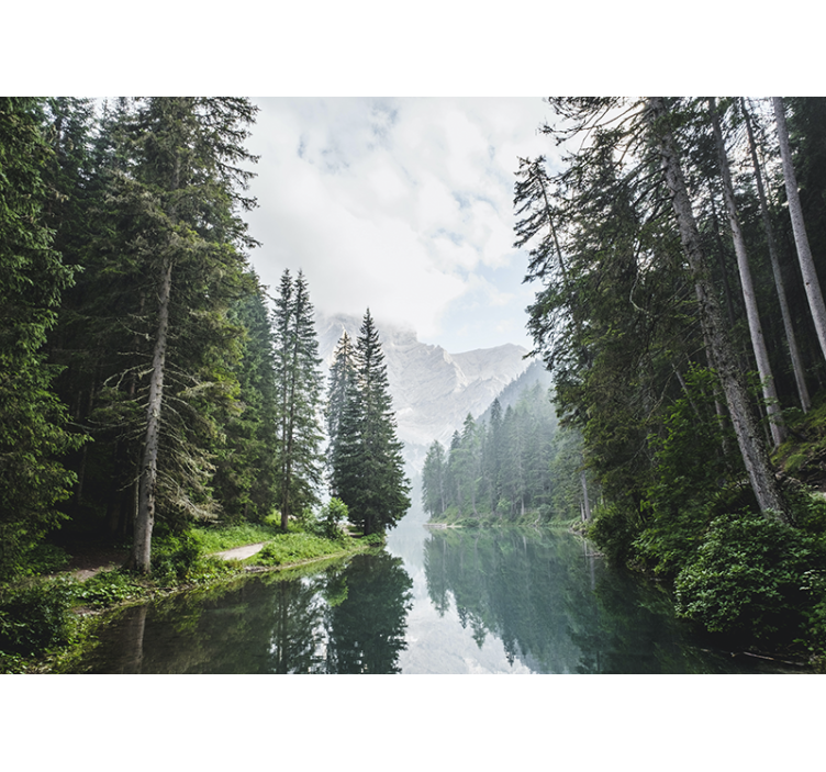 Luminen talvi heijastuu järvi valokuvatapetti luonto - Tenstickers