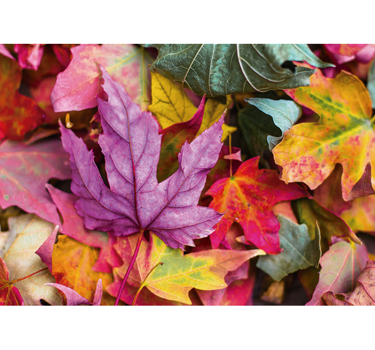 Värikkäät lehtikuviot kukka valokuvatapetti - Tenstickers