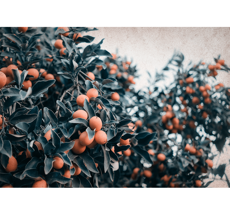 Citrushedelmäoksat kukka valokuvatapetti - Tenstickers