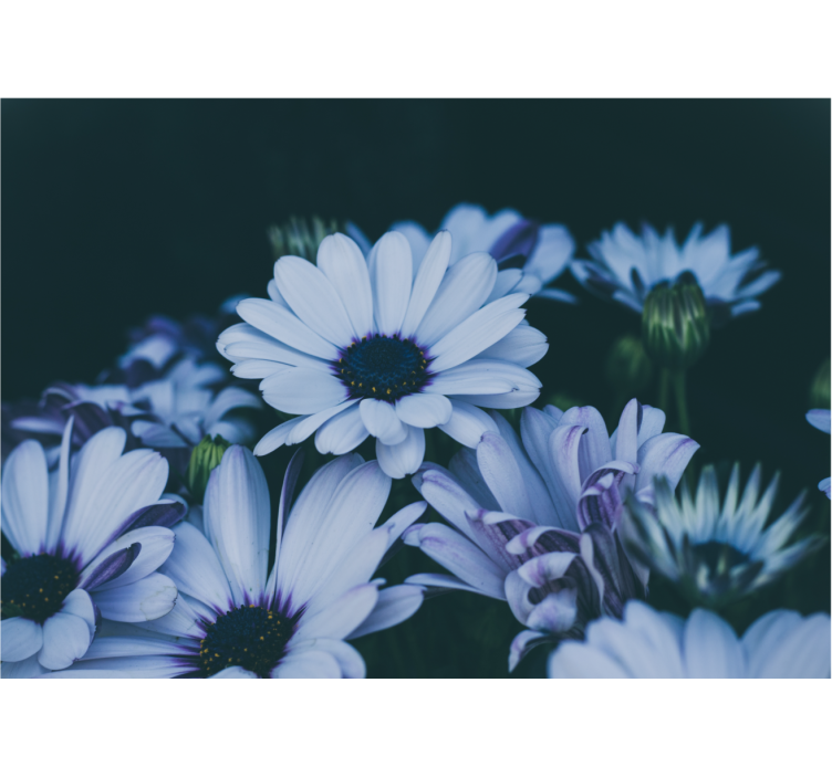 Rauhallinen kukkakuvio valokuvatapetti - Tenstickers