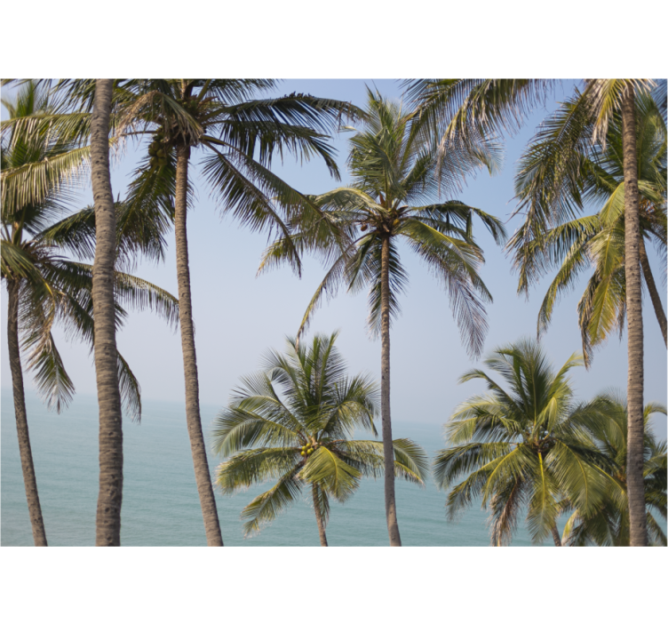 Palmupuiden maisema luonto valokuvatapetti - Tenstickers
