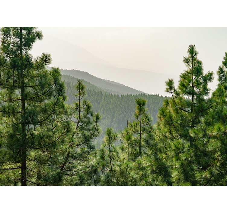 Vihreä luonto maisematapetti - Tenstickers