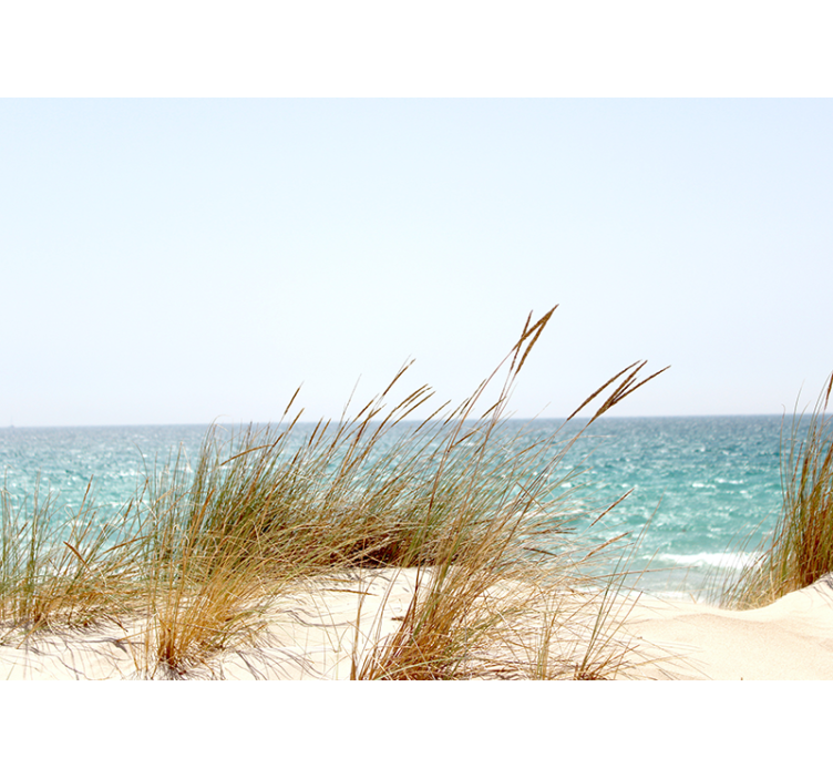 Rauhoittava rannikkonäkymäluonto valokuvatapetti - Tenstickers