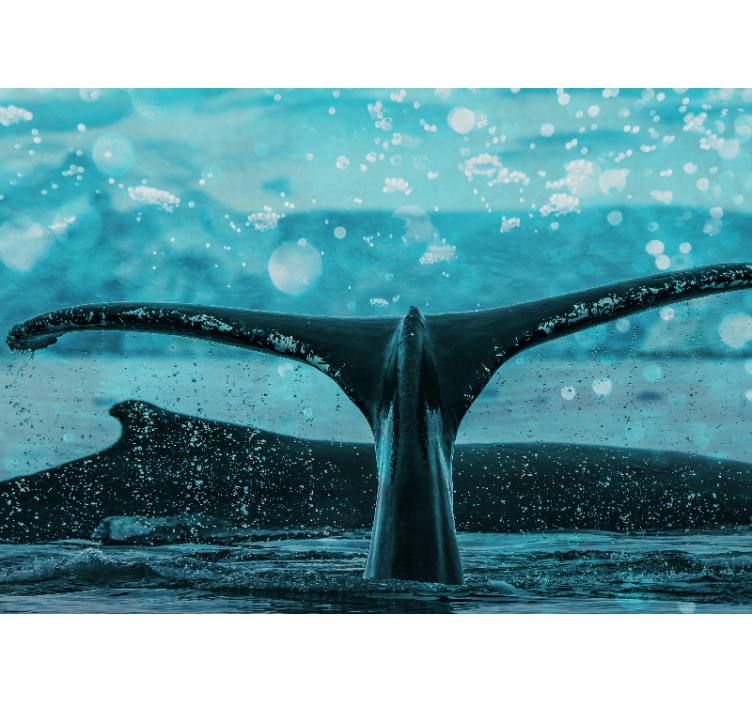 Valashäntäroiske eläin valokuvatapetti - Tenstickers