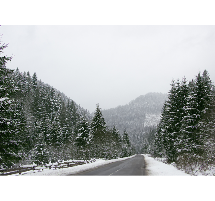 Asfaltti tie puiden välissä eteinen valokuvatapetti - Tenstickers