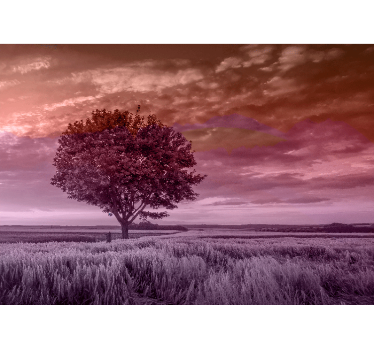 Yksinäinen puu siluetti metsä valokuvatapetti - Tenstickers