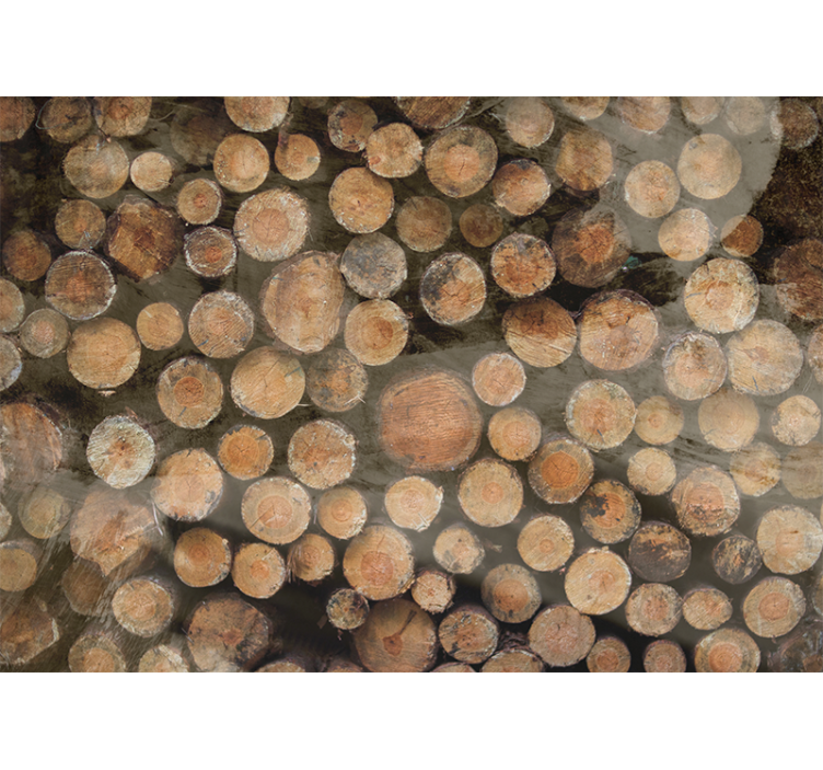 Puunrungot järjesteltynä valokuvatapetti - Tenstickers