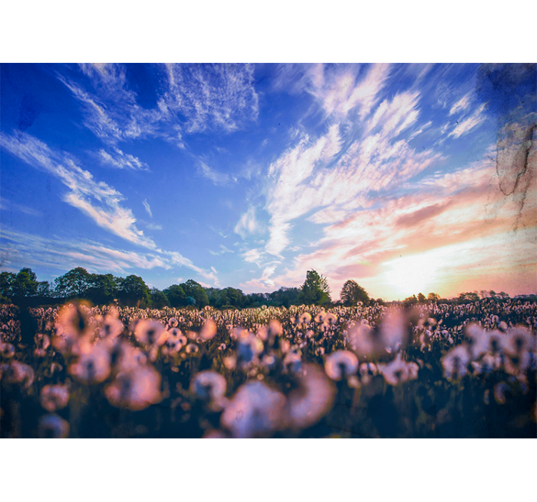 Auringonvalo esteettisesti luonnossa valokuvatapetti luonto - Tenstickers