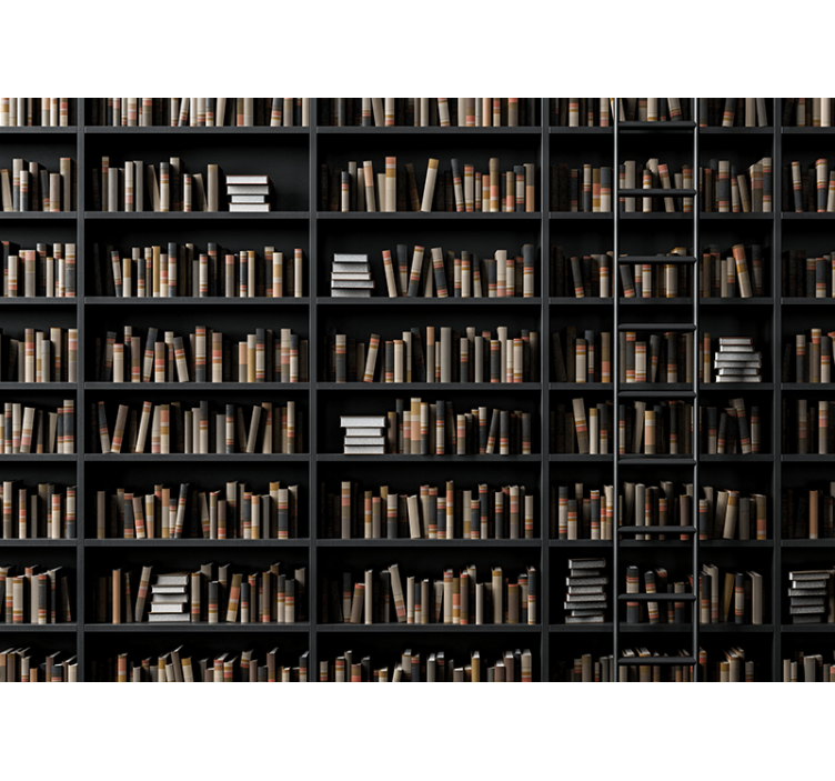 Kirjahyllyt optinen illuusio 3d valokuvatapetti - Tenstickers