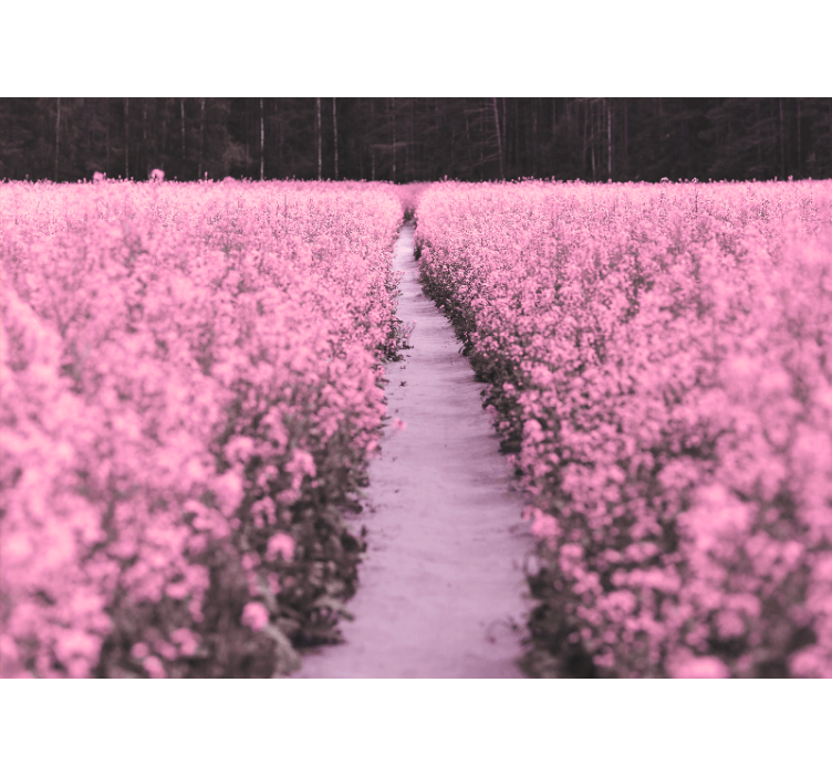 Tyylikäs niitty kukkaniitty valokuvatapetti - Tenstickers