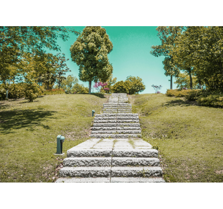 Luontopolku valokuvatapetti - Tenstickers