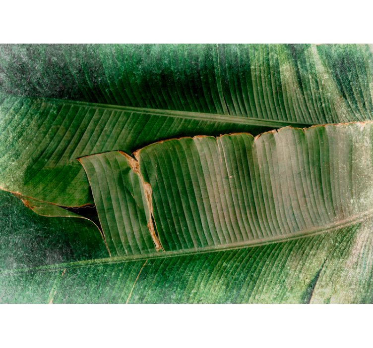 Värikäs lehtikerros luonto valokuvatapetti - Tenstickers