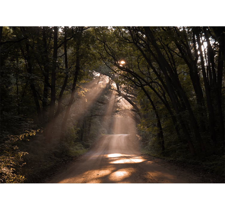 "luonto"tie metsässä valokuvatapetti luonto - Tenstickers