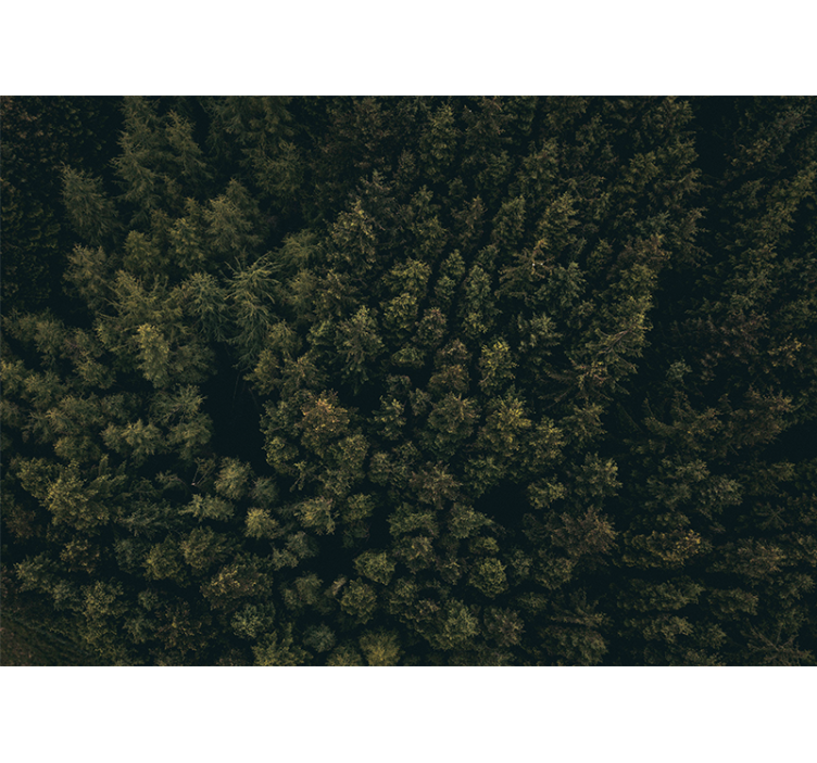 Vihreä vehreys katto luonto valokuvatapetti - Tenstickers