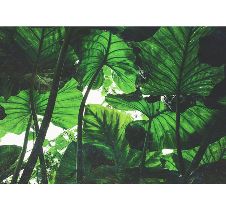 Vihreä lehtikatto luonto valokuvatapetti - Tenstickers