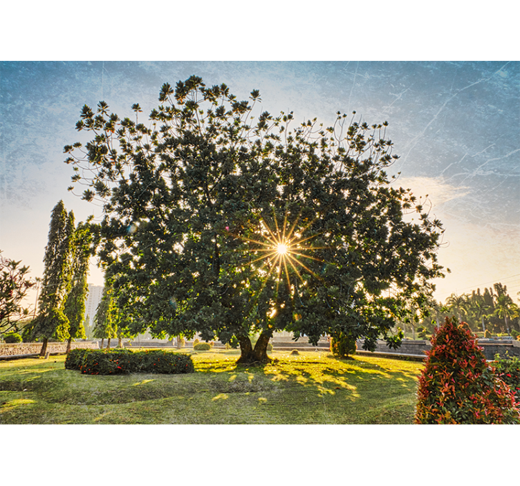 Aurinkoinen puunäkymäluonto valokuvatapetti - Tenstickers