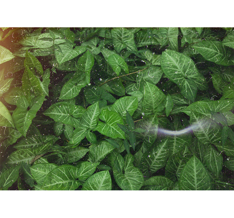 Elinvoimainen lehtikoostumusluonto valokuvatapetti - Tenstickers