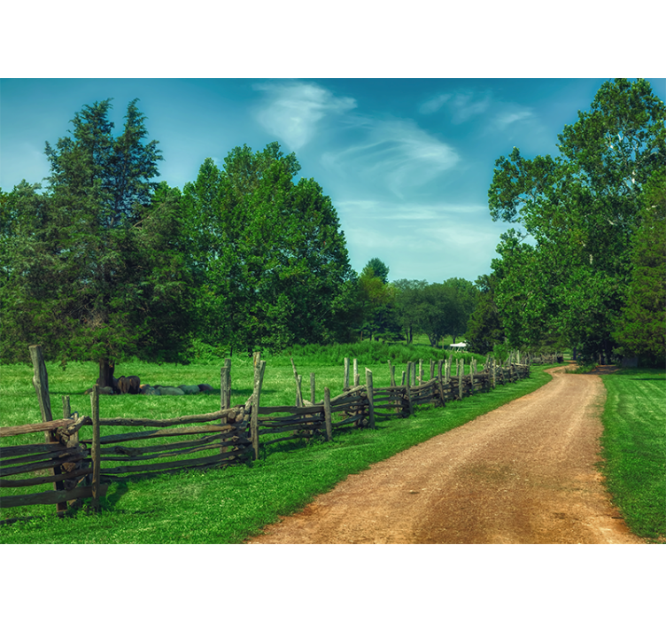 Vibrant green walkway maisema valokuvatapetti - Tenstickers