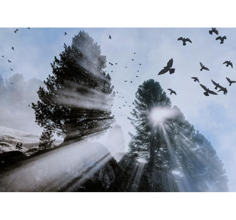 Säteilevät metsävalot lintuineen valokuvatapetti - Tenstickers