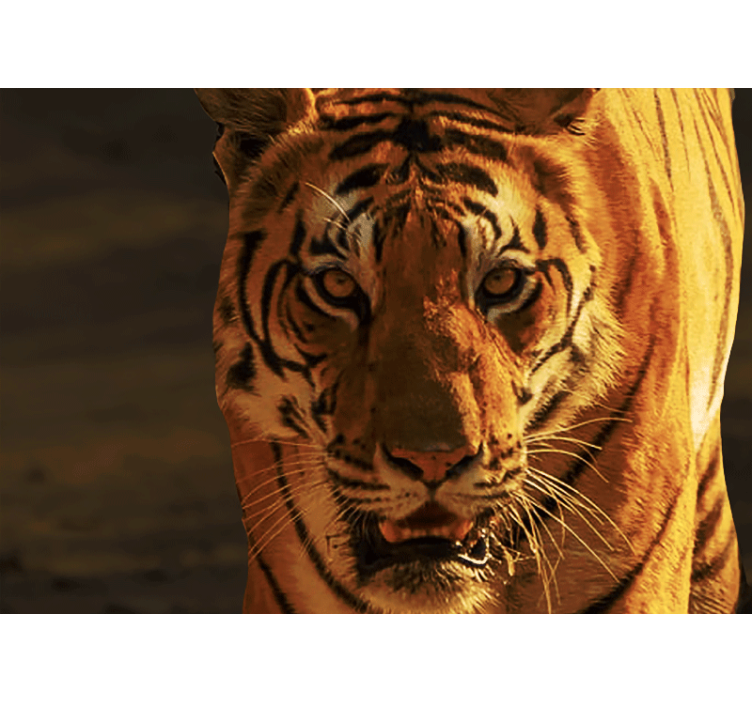 Majesteettinen tiikerin katse leijona valokuvatapetti - Tenstickers
