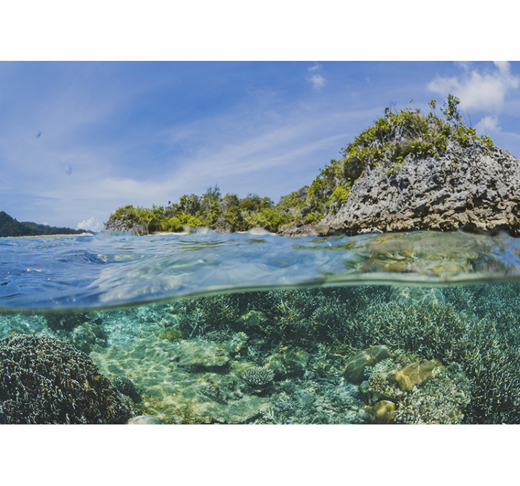 Vedenalainen profiili merivalokuvatapetti - Tenstickers