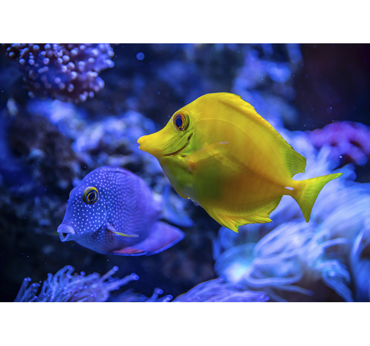 Sininen ja keltainen kalat meren valokuvatapetti - Tenstickers