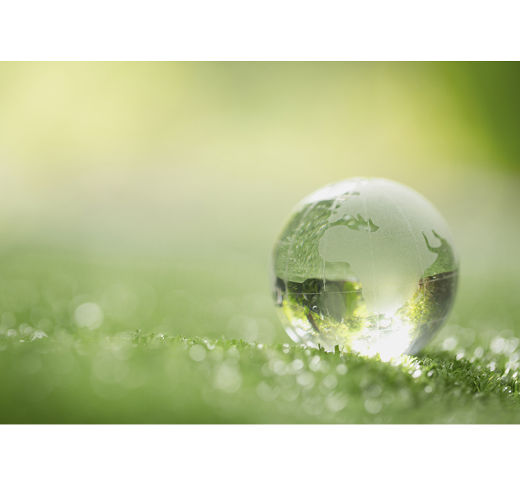 Maapallo nurmikolla luonto valokuvatapetti - Tenstickers