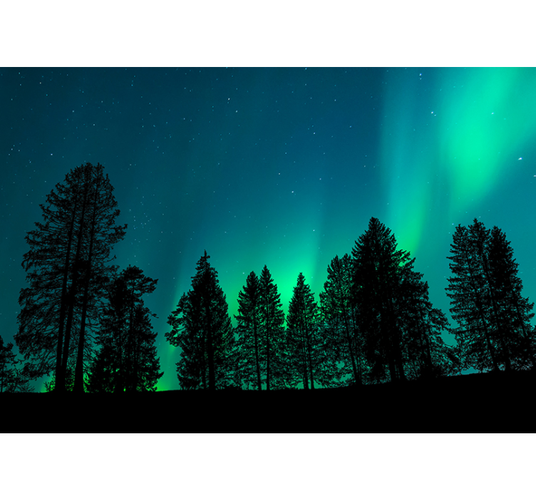 Revontulet puiden yli taivas valokuvatapetti - Tenstickers