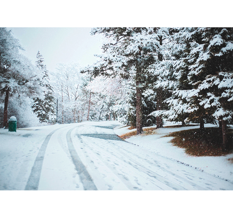 Talvitie lumipuilla tapetti kuvalla puu valokuvatapetti - Tenstickers