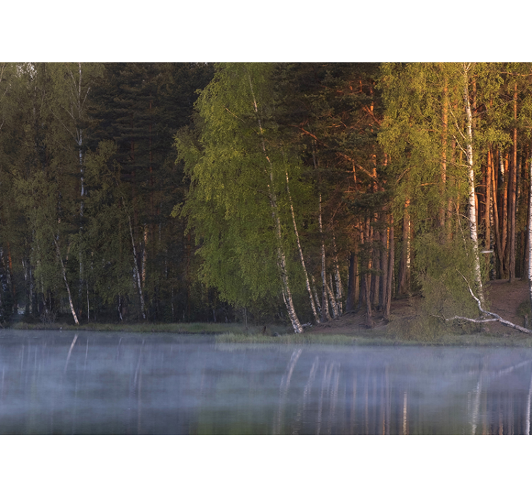 Sumu tulossa järven tapetti kuvalla valokuvatapetti luonto - Tenstickers