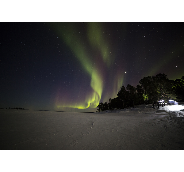 Lumimetsä revontulet tapetti kuvalla valokuvatapetti luonto - Tenstickers