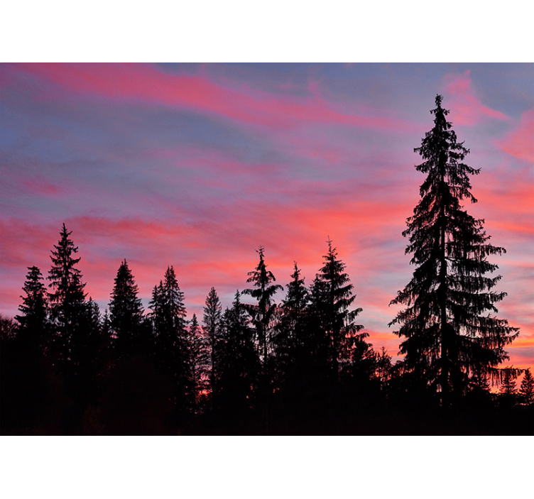 Puita ja vaaleanpunainen taivas taivas valokuvatapetti - Tenstickers