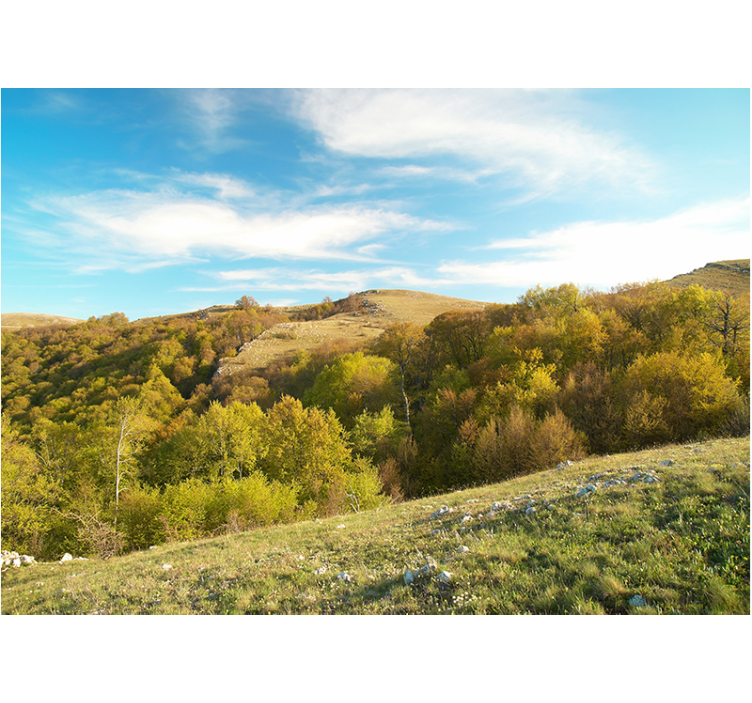 Maaseutumaisema valokuvatapetti luonto - Tenstickers