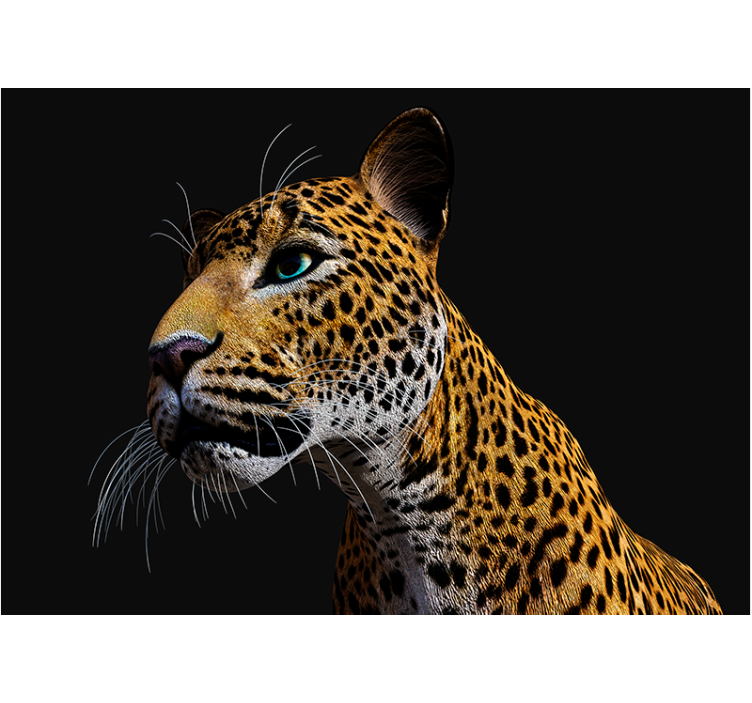 3d kovaa leopardia 3d valokuvatapetti - Tenstickers
