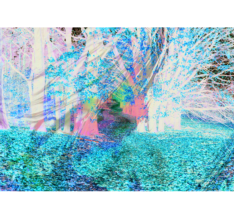 Syksyinen metsä tiellä valokuvatapetti luonto - Tenstickers