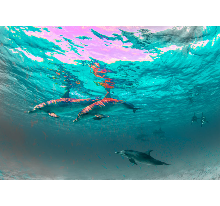 Delfiinit uivat meressä valokuvatapetti meri - Tenstickers