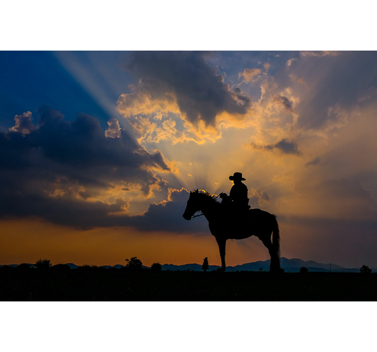 Seinä valokuva ratsastus 3d tarra - Tenstickers