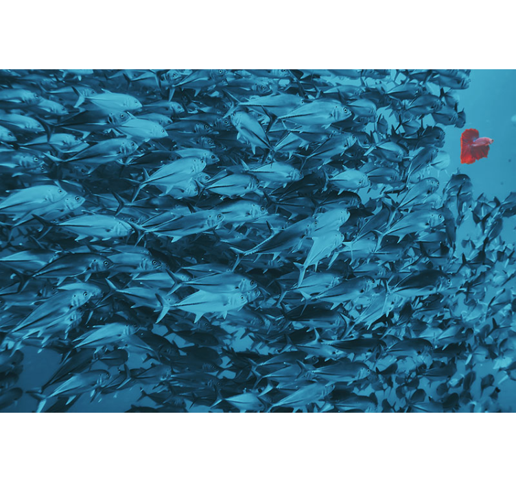 Vesialueen kalakoulu eläin valokuvatapetti - Tenstickers