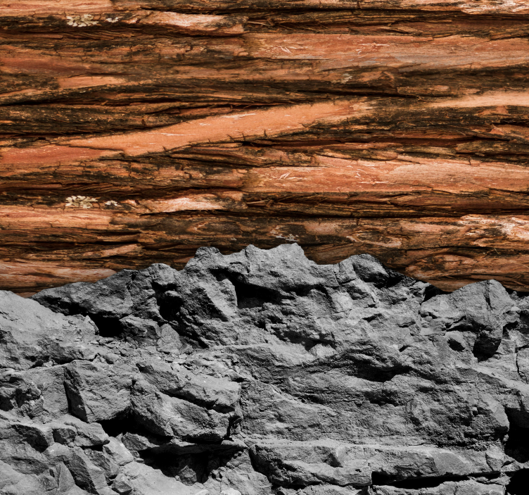 Puu ja kivi olohuone valokuvatapetti - Tenstickers