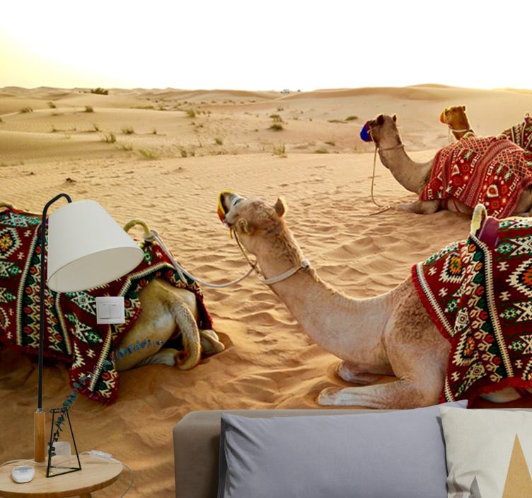 Aavikon kamelit valokuvatapetti - Tenstickers