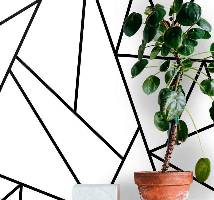 Abstrakti valokuvatapetti geometriset mustat viivat - Tenstickers