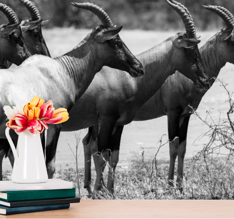 Afrikkalainen antilooppiyhdyskunta eläin valokuvatapetti - Tenstickers