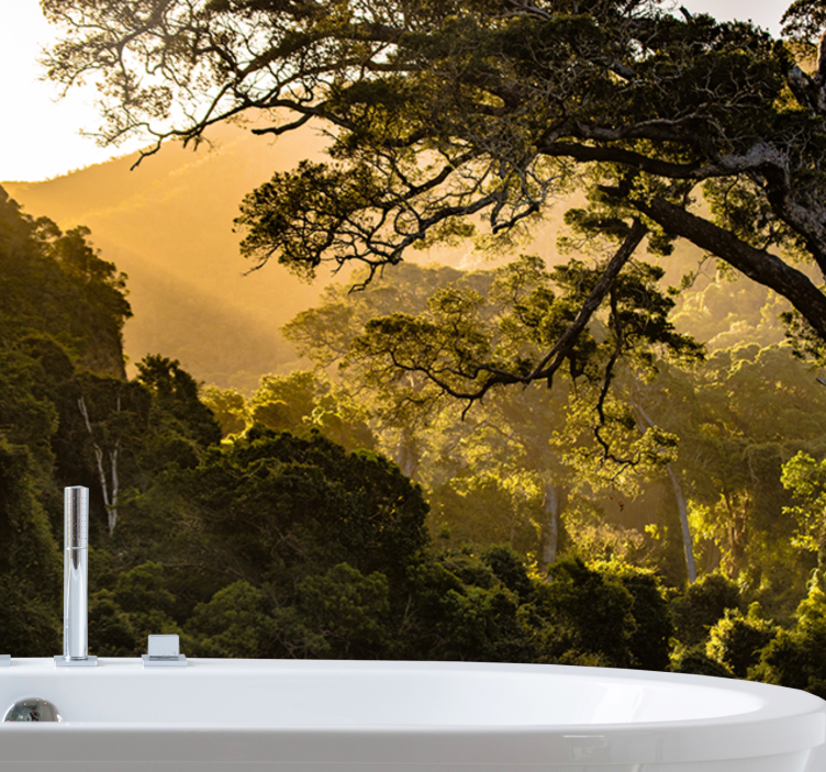 Auringonvalo puiden lehdillä valokuvatapetti metsä - Tenstickers