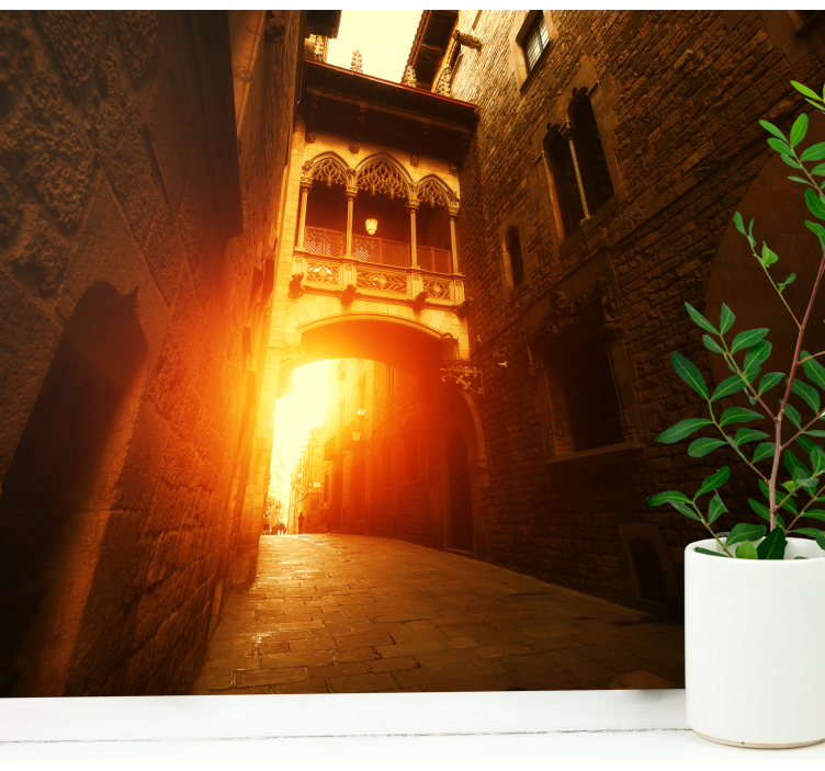 Barcelona historiallinen goottilainen kaari valokuvatapetti - Tenstickers