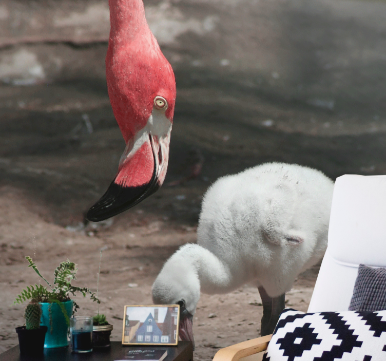 Flamingonpoikanen eläin valokuvatapetti - Tenstickers