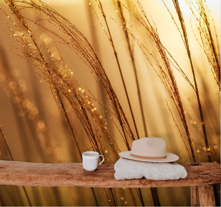 Helläkultaheinäluontovalokuvatapetti - Tenstickers