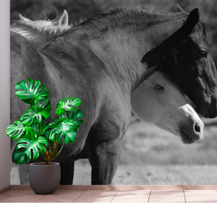 Hevosen ystävyys eläin valokuvatapetti - Tenstickers